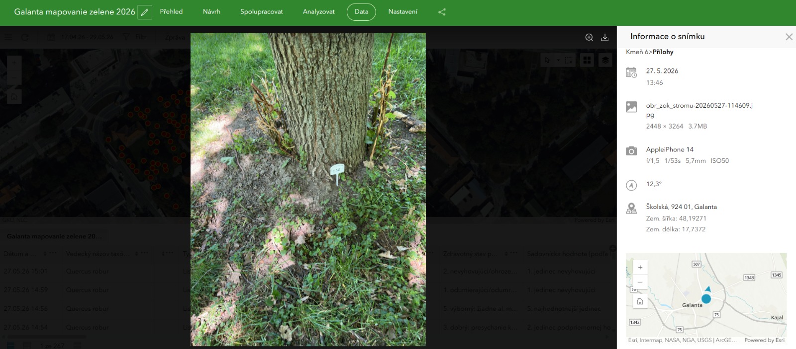 Záznam zdravotného stavu stromu v GIS aplikácii s fotodokumentáciou a presnou polohou